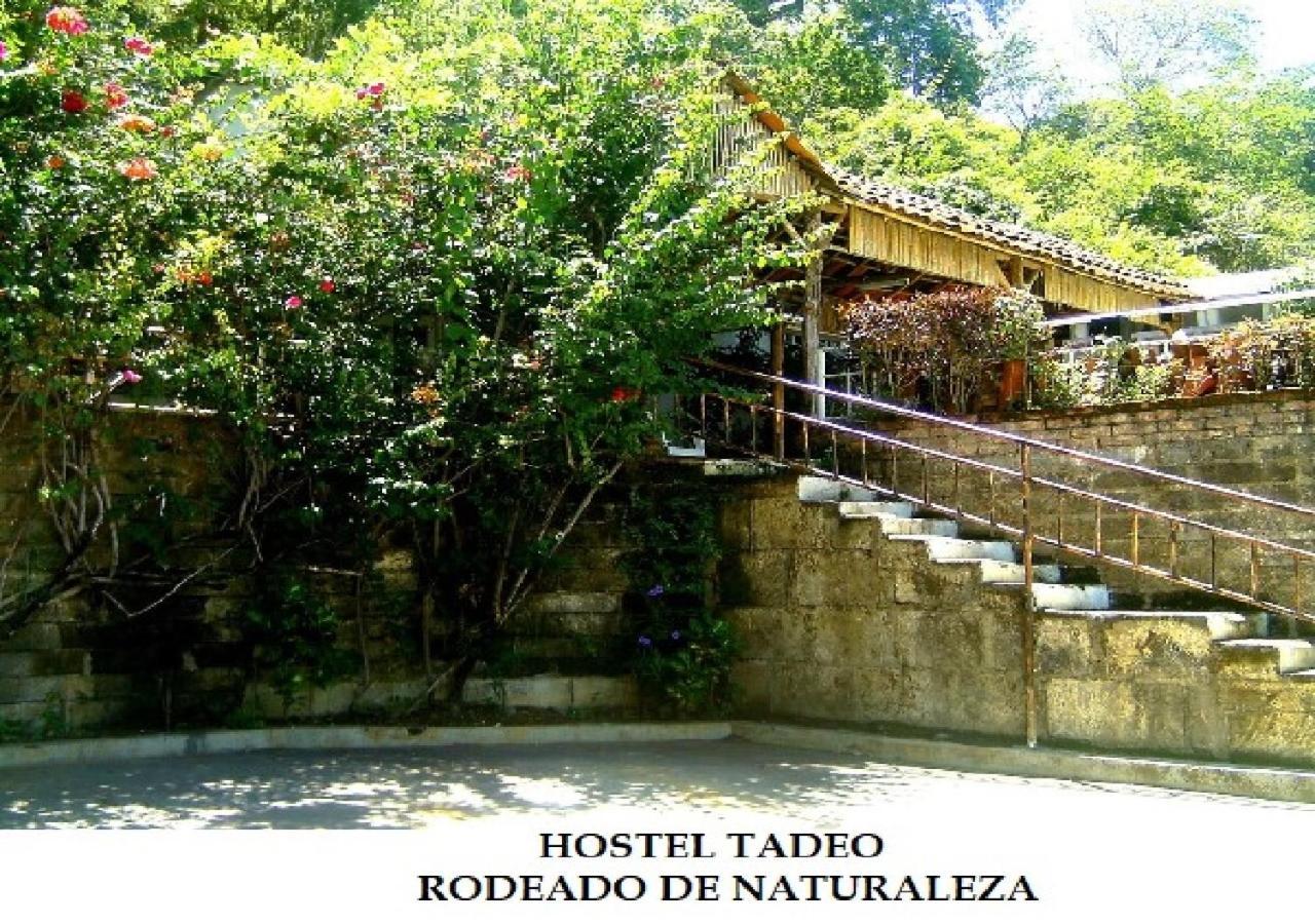 Hostel Tadeo Сан-Хуан-дель-Сур Экстерьер фото
